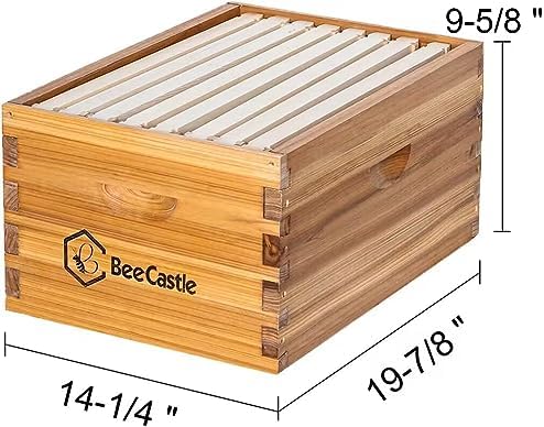 BeeCastle Heavy Wax Coated Langstroth Unassembled Deep/Brood Box with Frames and Beeswax Coated Foundation Sheet (8 Frame)