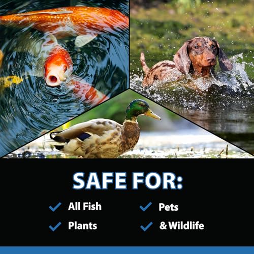 CrystalClear MuckOff, Natural Pond Muck Treatment, Water Garden, Fountain & Bird Bath Sludge Remover, Living Beneficial Bacteria Clarifier with Enzyme, Fish, Aquatic Animal, & Pet Safe, 96 Tablets