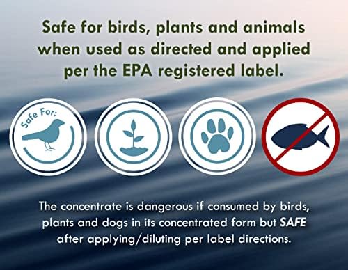 Fountain Algaecide and Clarifier - 64oz - Kills and Inhibits All Types of Algae Growth, Formulated for Small Ponds and Water Features, Treats up to 64,000 Gallons