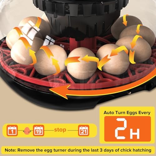 Incubator with Automatic Egg Turning and Humidity Control, Incubators for Hatching Eggs, Chicken, Ducks, Goose, Pigeon, Quail, Parrot Incubator for Farm, Lab, Science Classroom, Home