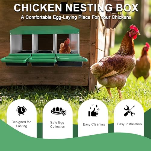 Chicken Nesting Box, 3 Compartments Chickens Egg Laying Nest Boxes for Hens Green