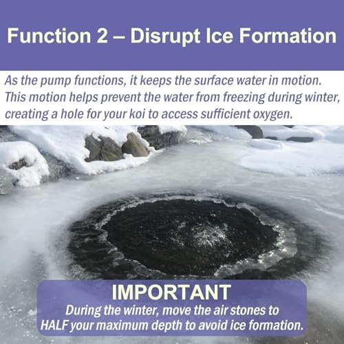 AquaMiracle Koi Pond Aerator for Pond up to 1000 & 2000 Gallons, All-in-One Pond Air Pump Aeration Kit with Air Stones Airline Tubing Check Valves