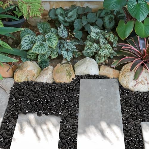 GASPRO 15lb Black River Rocks for Landscaping Outdoor, Polished Black Pebbles for Planters - 1 to 2 Inch, Large Decorative Stones for Garden Decor