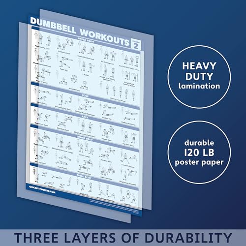 Palace Learning 3 Pack - Dumbbell Workout Posters for Home Gym - Volume 1, 2 & 3 - Exercise Charts (Laminated, 18" x 24")