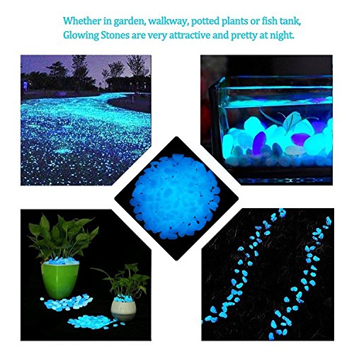 4.8Lbs 1100Pcs Glow in The Dark Stones Pebbles Blue Glow Rocks