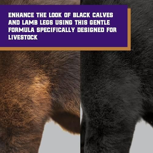 Weaver Livestock ProDye Deep Black Hair Dye for Show Cattle & Sheep, Uniform Coverage, Gentle Formula, 5 Bottle Animal Fur Color Dye & Activator Kit