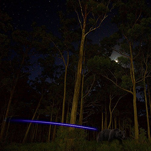 6PCS Lighted Nocks for Crossbow with .300/7.62mm Inside Diameter Led Nocks Arrow nocks for Archery Hunting