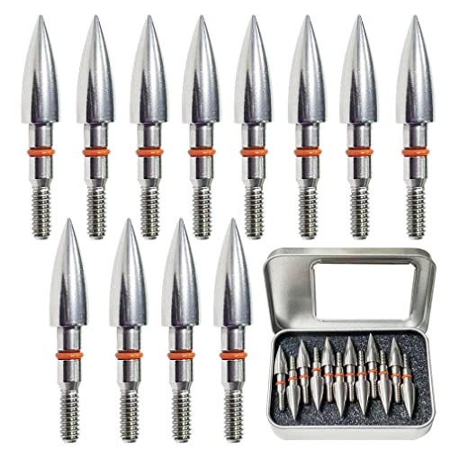 Field Points arrowheads 100 Grains Archery Field Points, 5/16inch Stainless Steel Screw in Archery Field Tips and Broadheads (1 Dozen 12 PCS), 2.9*2.3*0.6