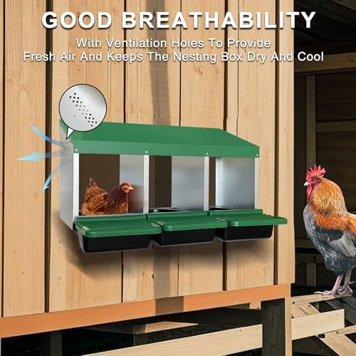 Chicken Nesting Box, 3 Compartments Chickens Egg Laying Nest Boxes for Hens Green