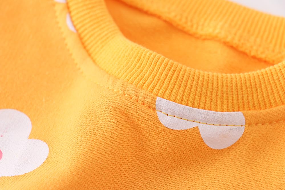 AIWUHE Toddler Girls Sweatshirts Casual Pullover Crewneck Winter Long Sleeve Tops Shirts Clothes Yellow flowers 5T 9200