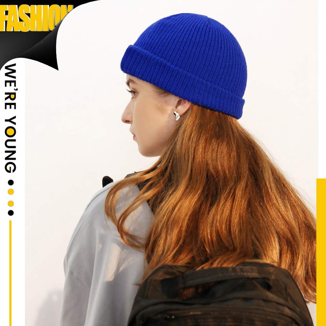 Winter Beanie Hats Unisex Beanie Knit Caps Classic Warm Winter Hats (Violet)