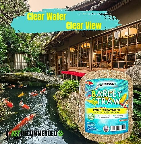 Barley Straw for Fish Ponds and Fountain (16 Oz). Treats up to 3000 to 5000 Gallons, 100% Safe & Natural Pond Cleaner. Keeps Your Water Garden Clean & Fresh. Made in USA