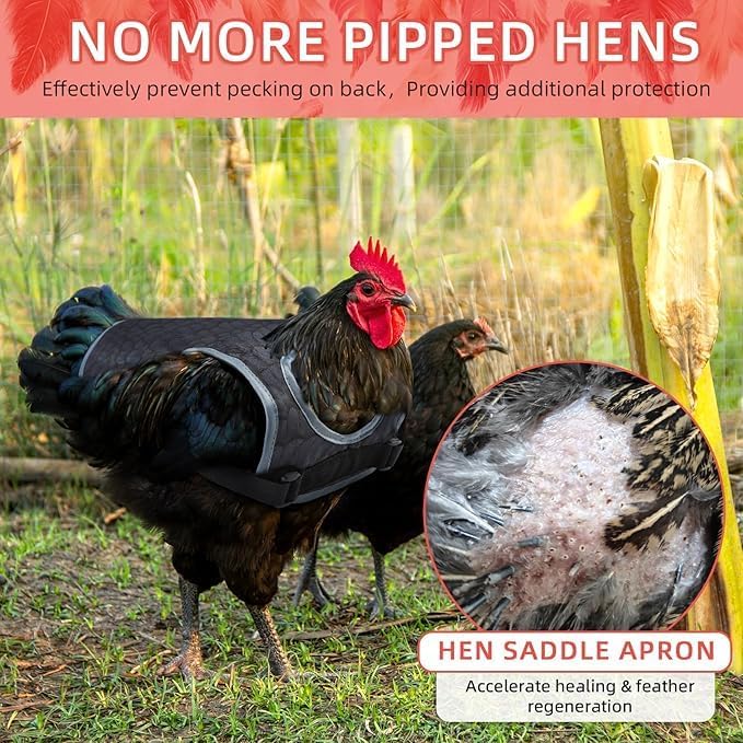 Chicken Saddles for hens, Chicken Apron Back Protector for Hens With Adjustable Strap, Chicken Hen Mating Saddle (Black, white, gray, yellow)