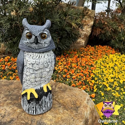 Owlsome Solar Owl with Colored Flashing Eyes, Rotating Head, Hoot Sound, Motion Detector and Silent Mode, Plastic Owl Garden Sculpture, Garden Decoration