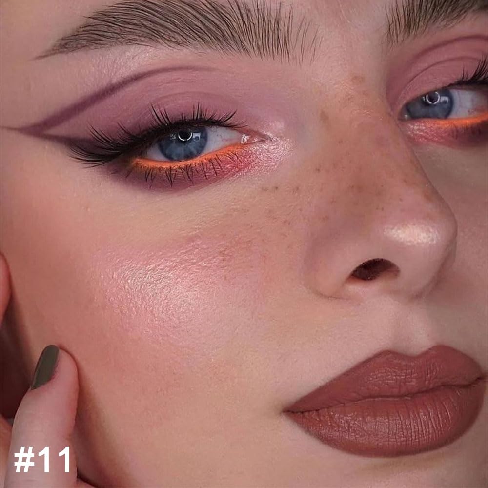 HHLTOH 2-in-1 Brown Lip Liner & Lipstick Set Kit for Women, DNM Matte Lips Kit with Lip Liner Lip Stains Long Lasting Waterproof 24 Hour Lipstick and Lip Liners Combo Lipliners Pencil Set 11