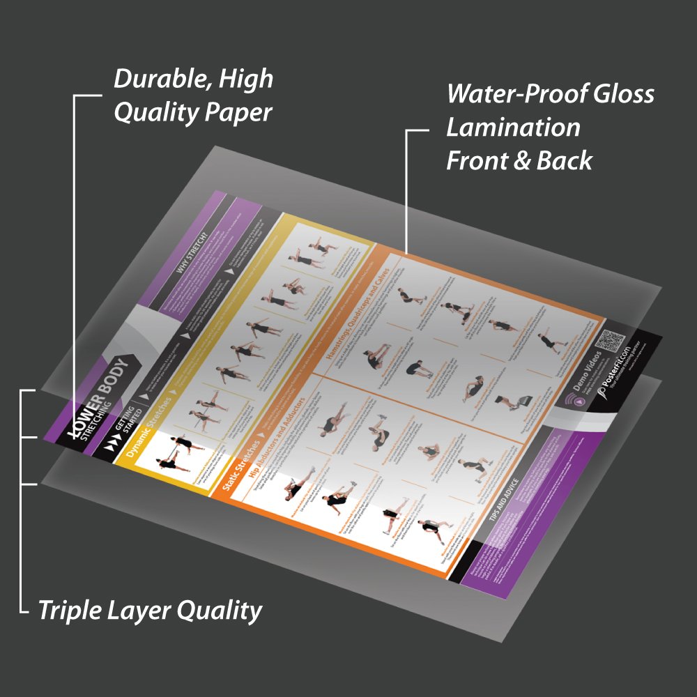 Lower Body Dynamic & Static Stretching Poster - EXTRA LARGE - 33” x 23.5” - Laminated - Home & Gym Workout Poster - Includes Online Video Training Support - Gym Charts by Posterfit.
