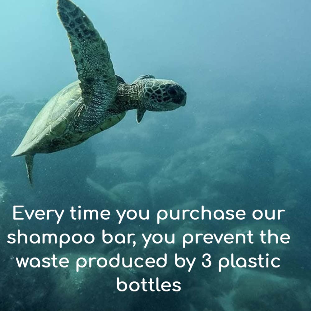 Pacific Spirit Bar Shampoo for normal hair with Coconut Oil & Raspberry, Rich foam, Sulfate-Free, Soap-Free, Zero Waste, Vegan, Eco-Friendly, 3.53 Oz