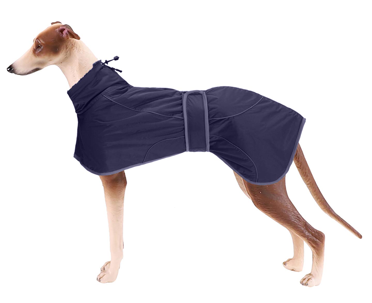 Greyhound Winter Coat, Whippet Coat with Padded Fleece Lining, Water Resistant Dog Jacket with Adjustable Bands and Reflective - Navy - XSmall
