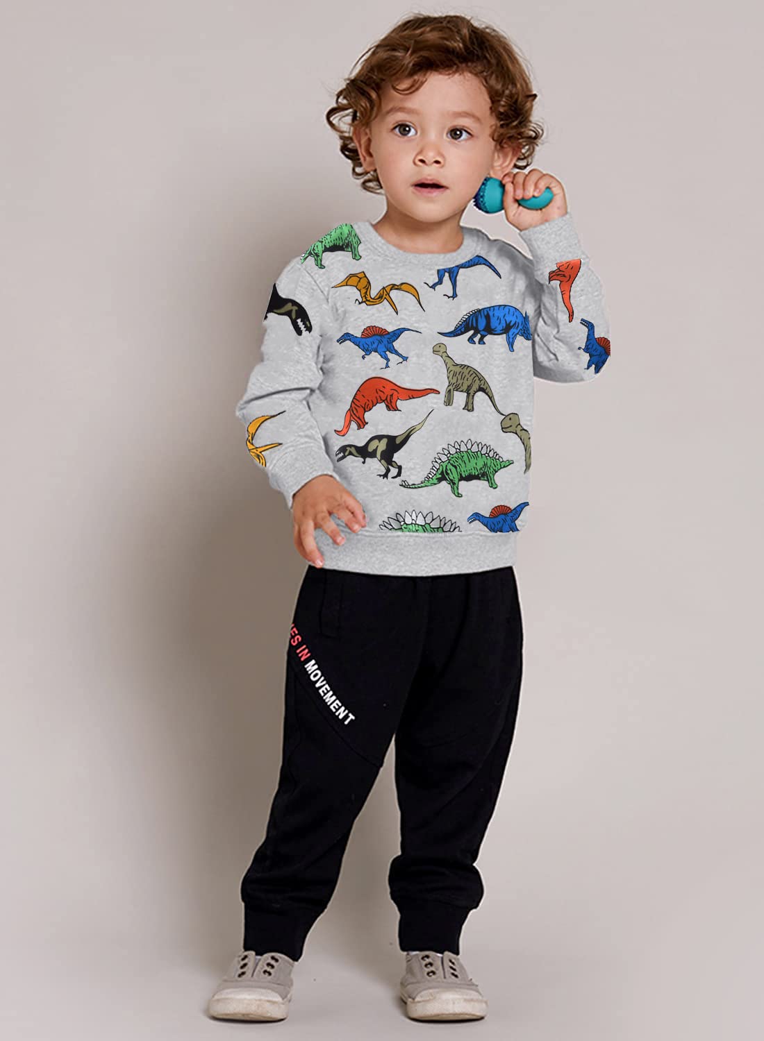 Boys Dinosaur Fleece Sweatshirt Long Sleeve Cotton Crewneck Dinosaur Clothes for Boys Winter Warm Pullover Grey Sweater 4t/8011