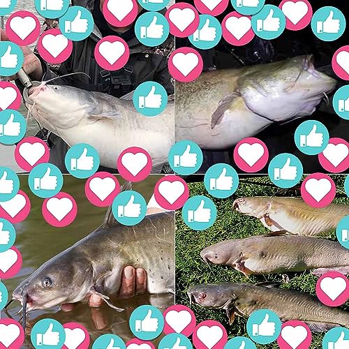 Catfish-Rig-for-Bank-Fishing-Catfishing-Tackle-Floats-with-Rattler-Santee Cooper Rig Equipment(Black-2.5 inch)