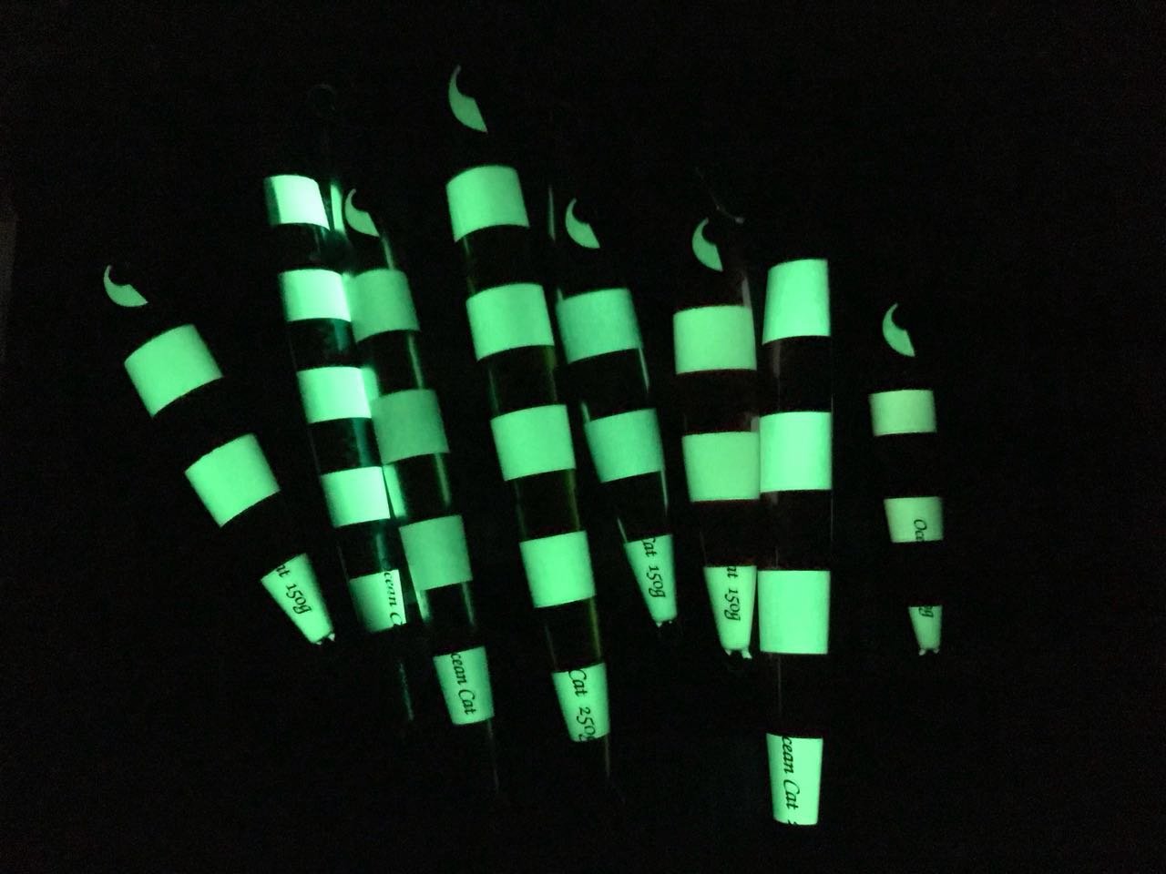 OCEAN CAT 1 PC Lead Metal Flat Slow Fall Pitch Fishing Jigs Lures Sinking Vertical Jigging Bait with Butterfly Hook for Saltwater Fishing (Silver, 250g)