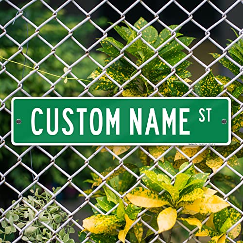 Custom Street Sign, Personalized Steet Sign, Customizable Novelty Road Green Background, 4x18 Inches, ACM, Fade Resistant, Made in USA