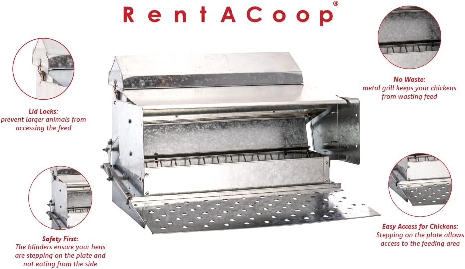RentACoop Automatic Metal Treadle Feeder - Outdoor Use, Rainproof - Suitable for Chicken, Bantams, Poultry, Pheasants, etc. - 25lb Capacity