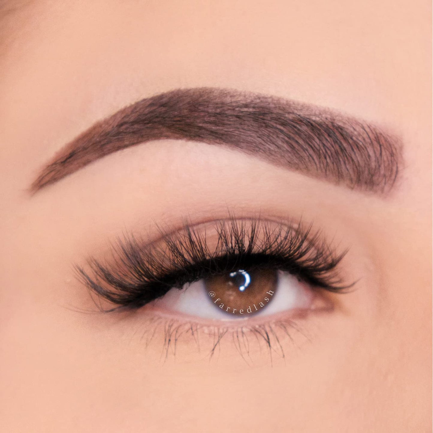 FARRED Cat Eye Lashes Short Natural Eyelashes 15mm Fluffy Wispy Strip Eyelash 14 Pairs Cute Natural Fake Lashes Packs Small Full pestañas Set (F10 | 9-15mm)