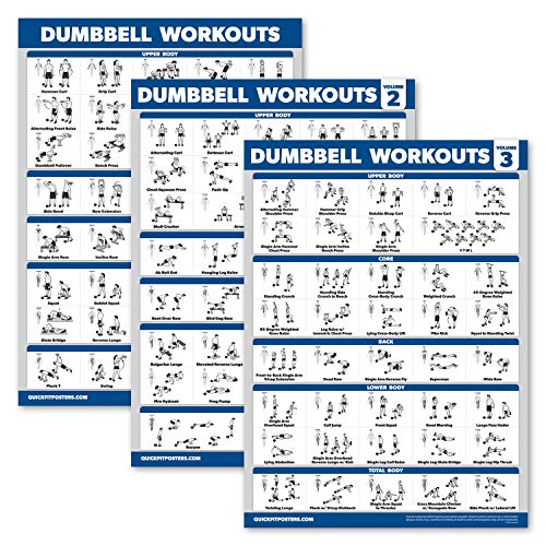 Palace Learning 3 Pack - Dumbbell Workout Posters for Home Gym - Volume 1, 2 & 3 - Exercise Charts (Laminated, 18" x 24")