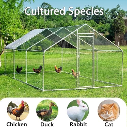 HITTITE Large Metal Chicken Coop with Run, 19.19 x 9.84 x 6.56 ft Walk in Poultry Cage Chicken Run Pen, Outdoor Chicken Runs for Yard with Waterproof & Anti-UV Cover