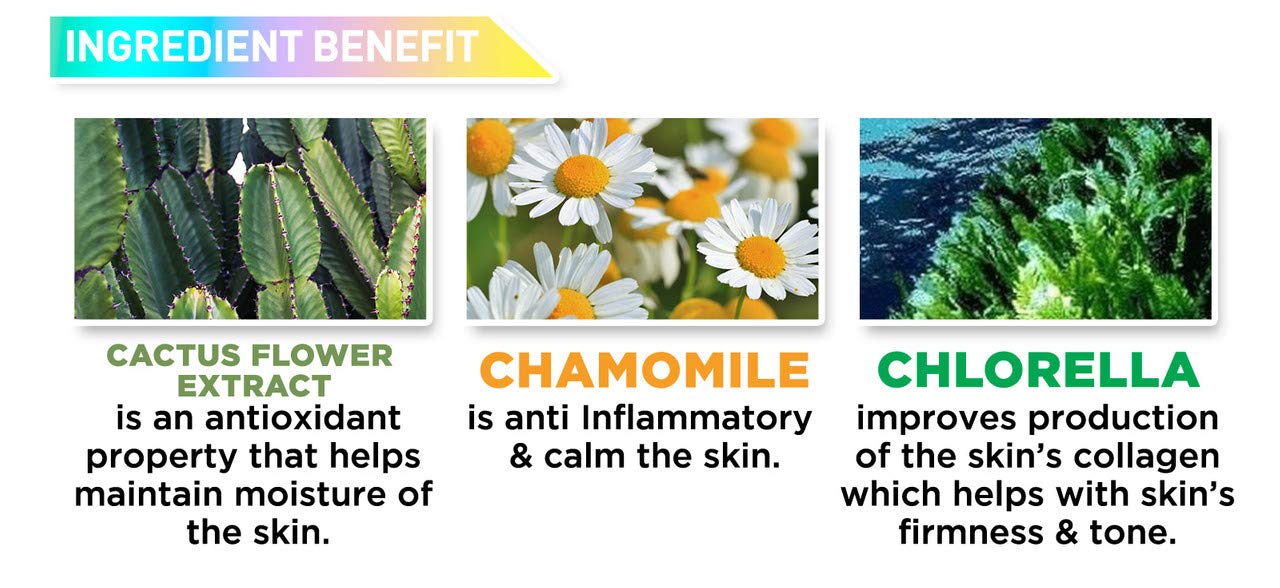 J.CAT BEAUTY Aquasurance Compact Foundation - Autumn Spice