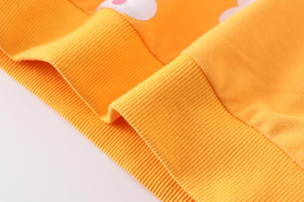 AIWUHE Toddler Girls Sweatshirts Casual Pullover Crewneck Winter Long Sleeve Tops Shirts Clothes Yellow flowers 5T 9200