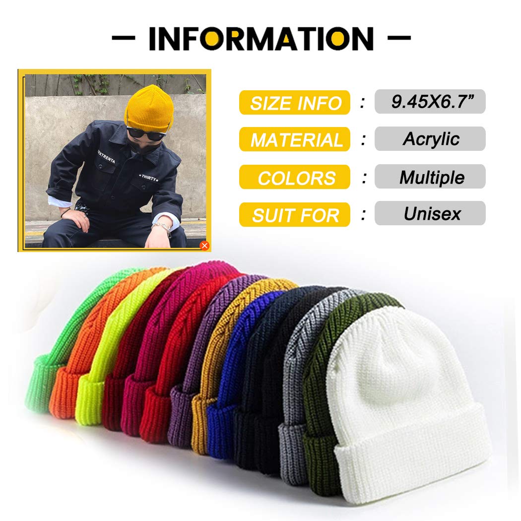 Winter Beanie Hats Unisex Beanie Knit Caps Classic Warm Winter Hats (Violet)