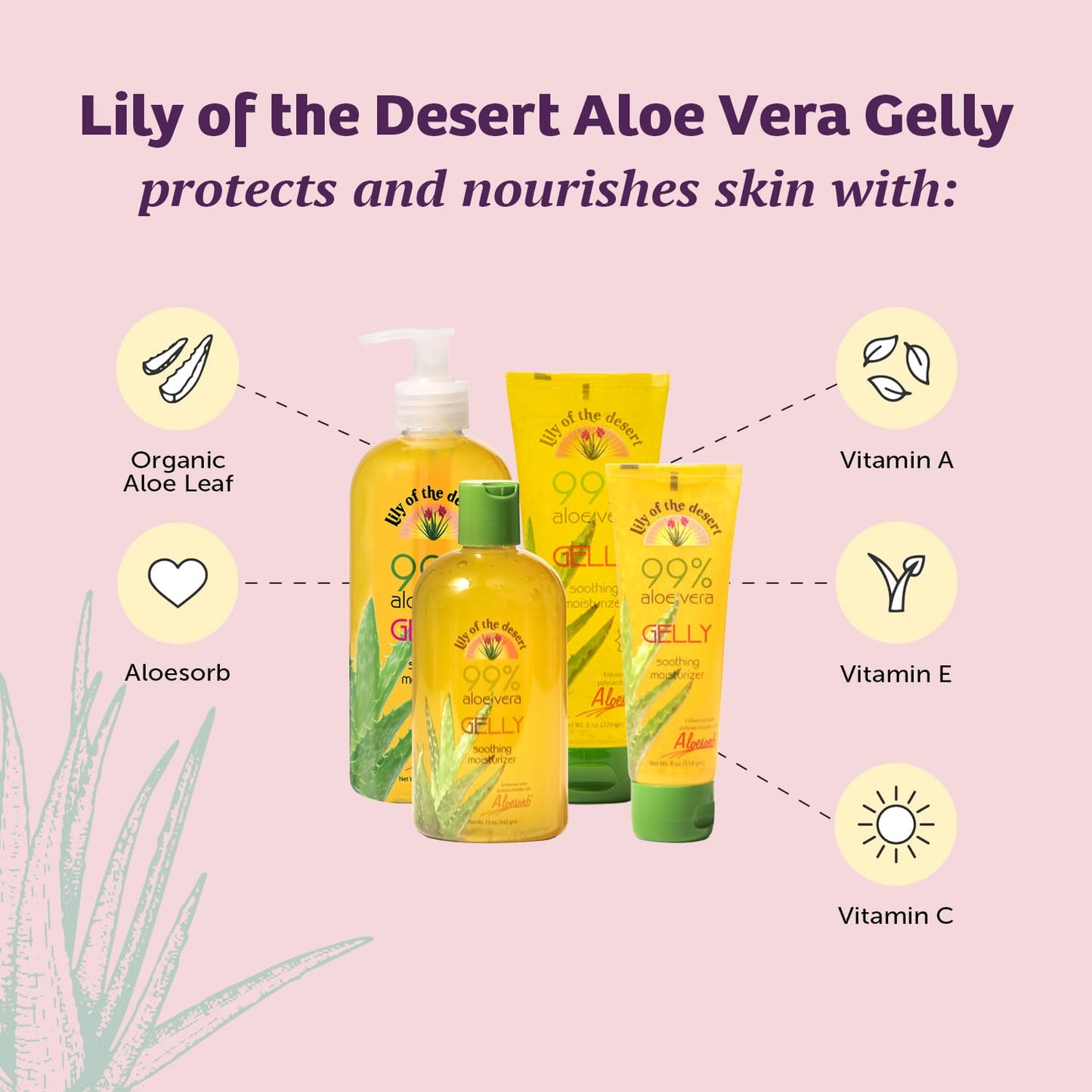 Lily Of The Desert Gelly Moisturizer - 99% Organic Aloe Vera Gel for Skin, After Sun Care with Aloe, Vitamin E Oil, and Vitamin C for Sunburn Relief, 16 Fl Oz