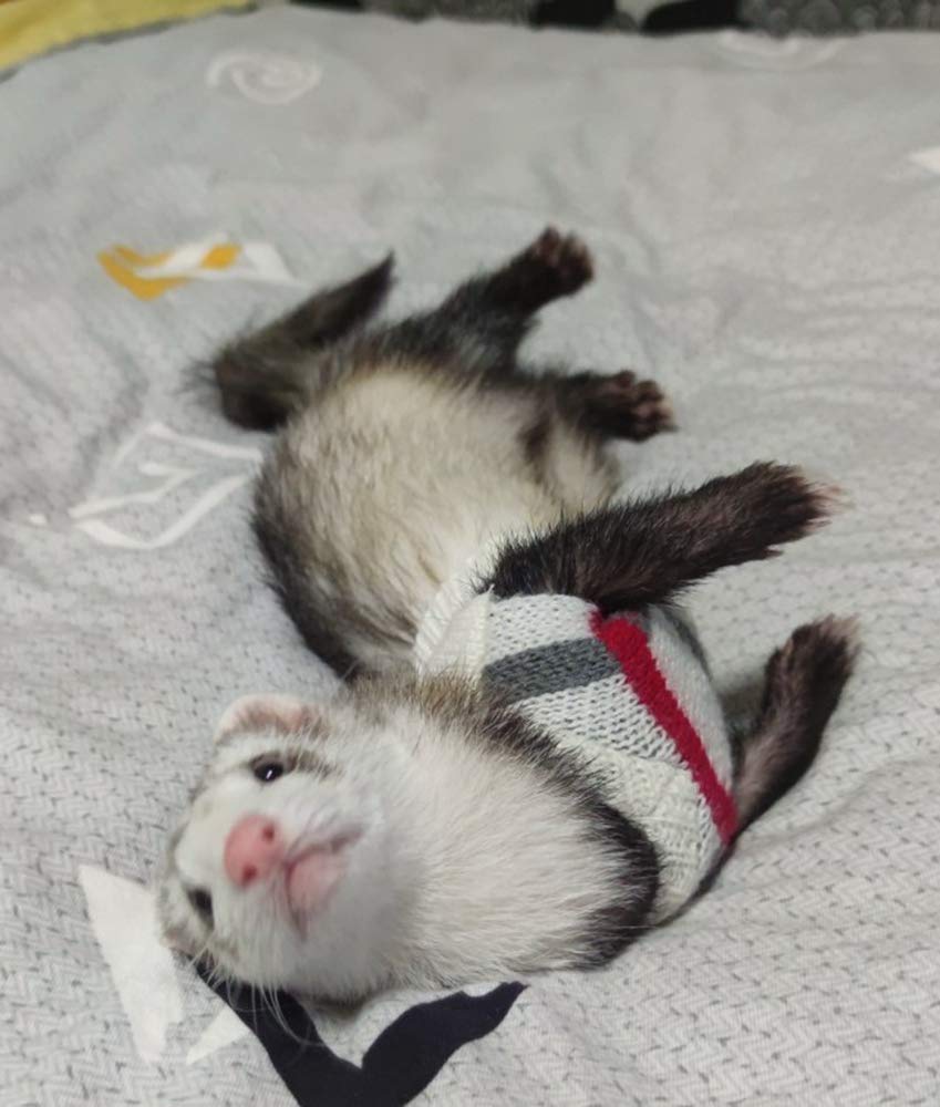 Ferret Clothes Small Animal Sweater Warm Winter Knitted Sweatershirt Ferret Apparel Halloween Party Cosplay Photo Shoot for Ferret Bunny Guinea Pig Squirrel (2 Pcs (White Stripes+Yellow Grid))