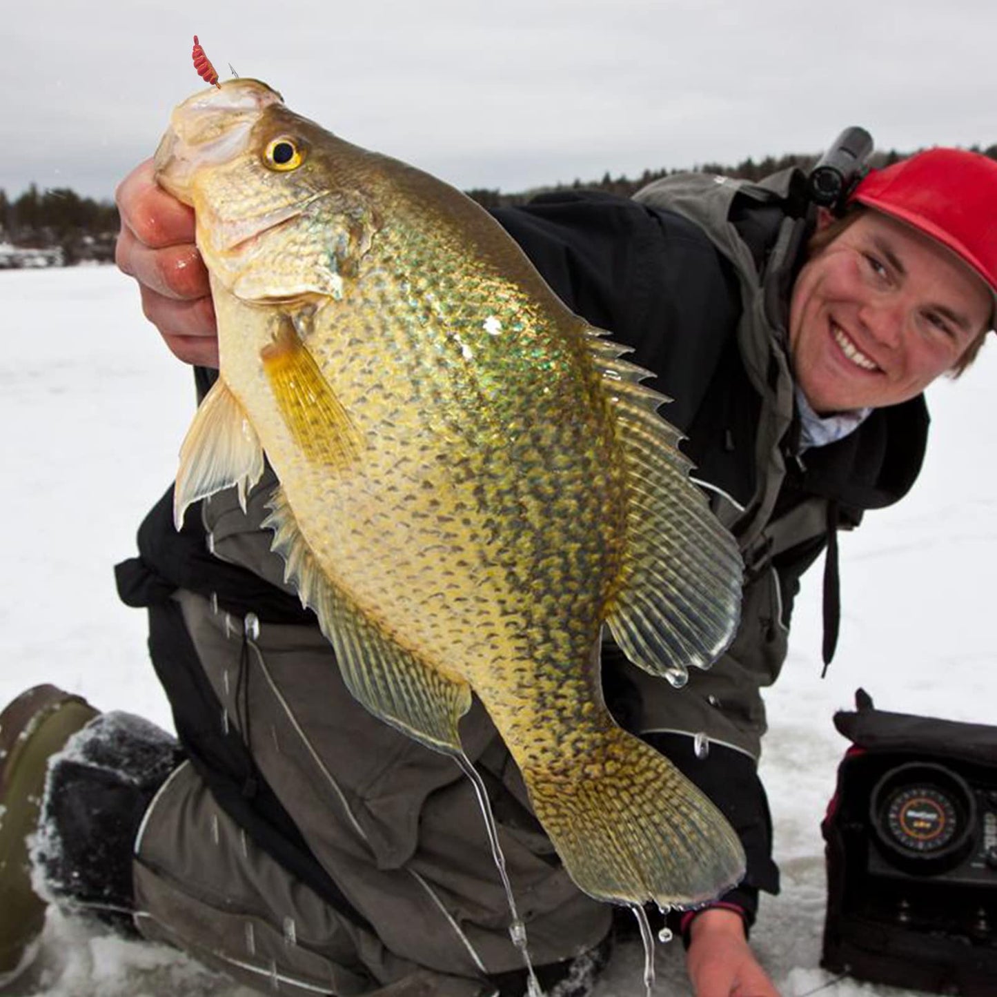 15 Pcs Ice Fishing Jigs for Panfish Walleye Sunfish Winter Ice Jigging Tackle Accessories Box Colorful Lead Jig Heads Glow Jigs for Ice Fishing (E:15PCS Ice Fishing Jigs)