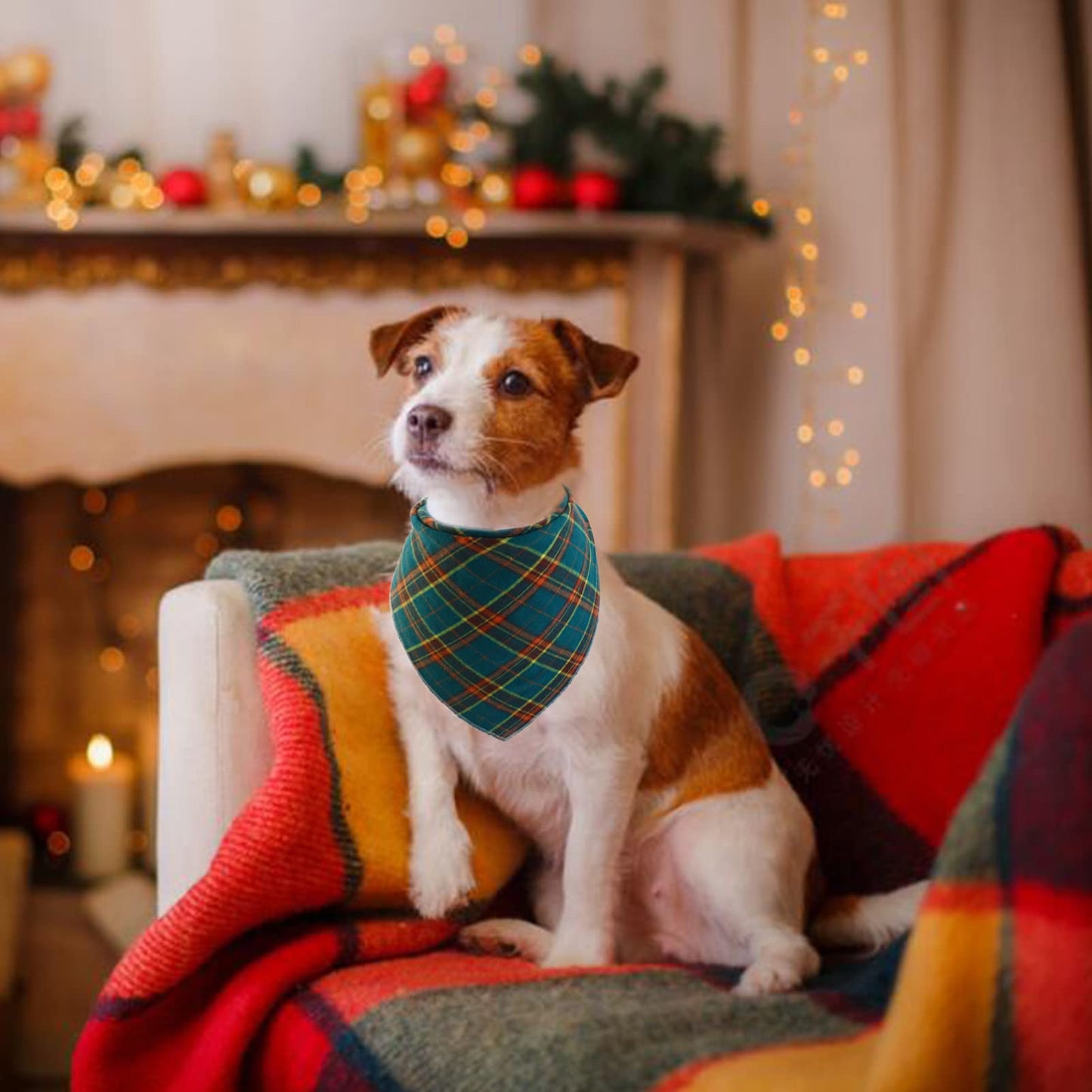 YUANKEXIANG Fall Bandana for Dogs 2 Pack - Christmas Pet Triangle Scarf Classic Plaid Reversible Bibs Kerchief Saliva Towel Set Pet Costume Accessories for Small Medium Large Dogs Cats