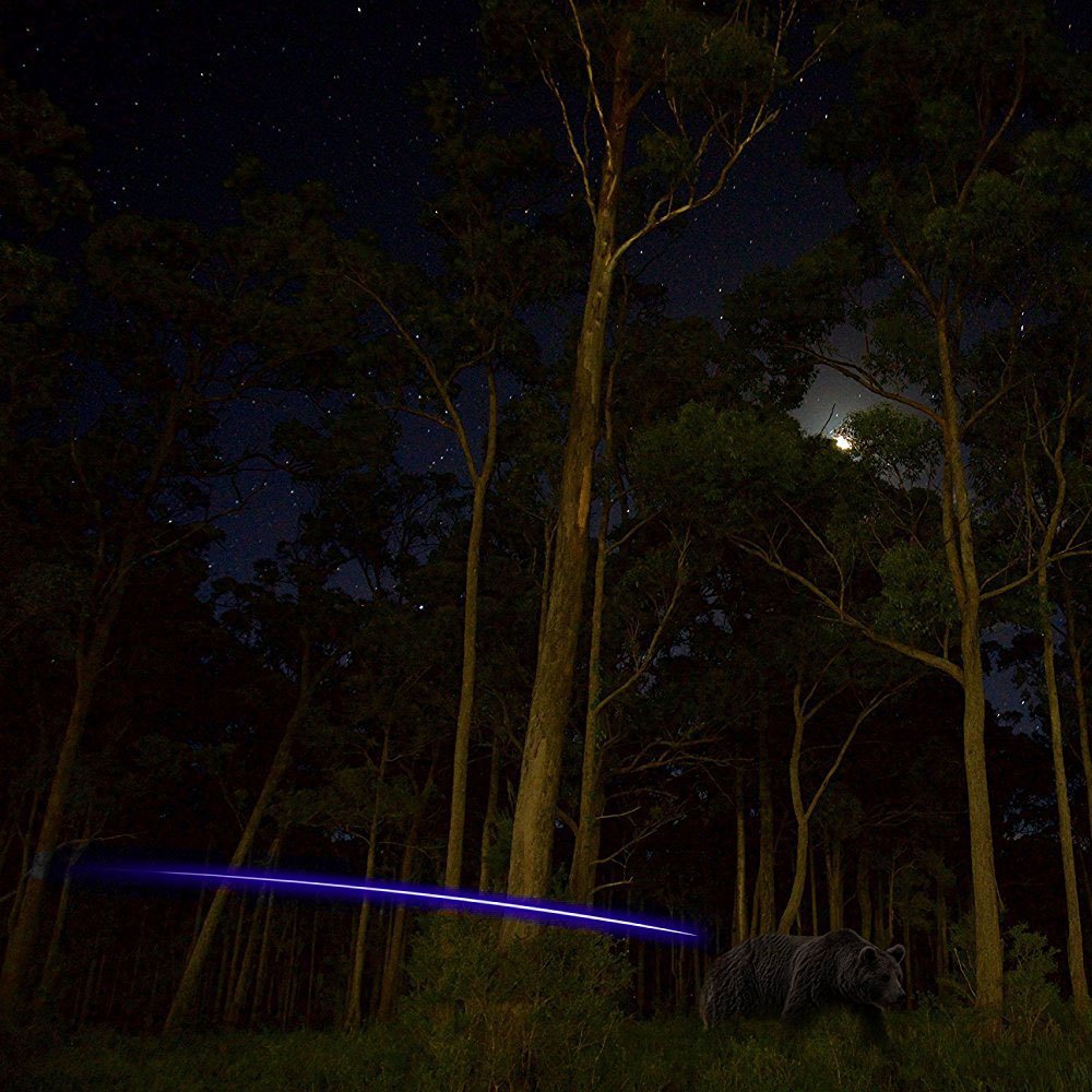 Reikawa 6PCS Lighted Nocks for Crossbow with .300''/7.62mm Inside Diameter,Half Moon Style Lighted Archery nocks