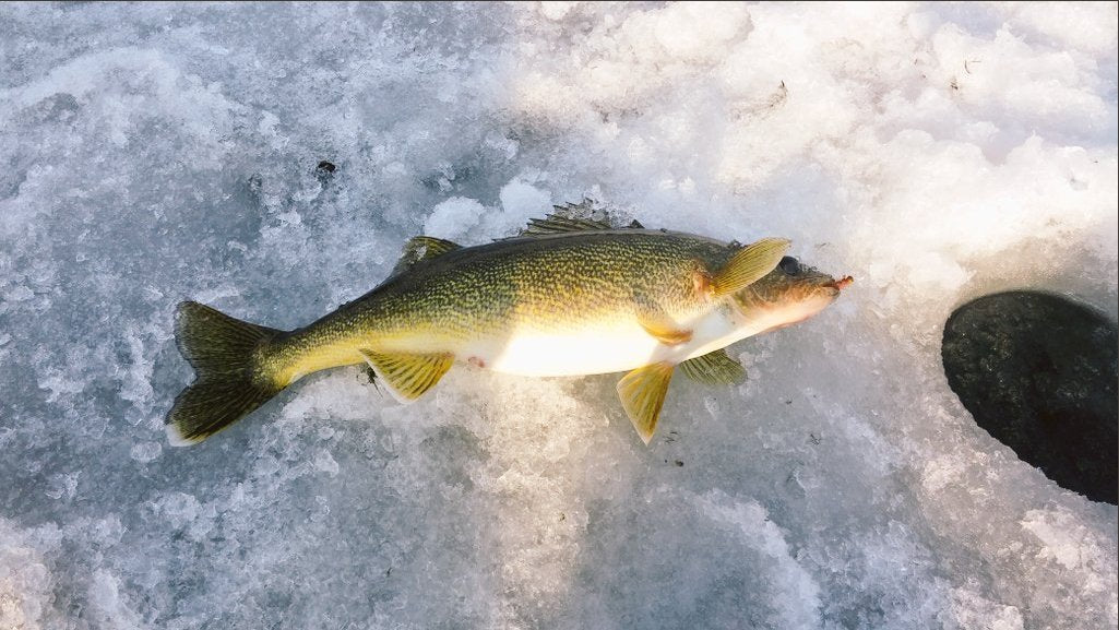 Ice Fishing Jigs with Treble Hooks Lead Jig Hooks Winter Metal Lures