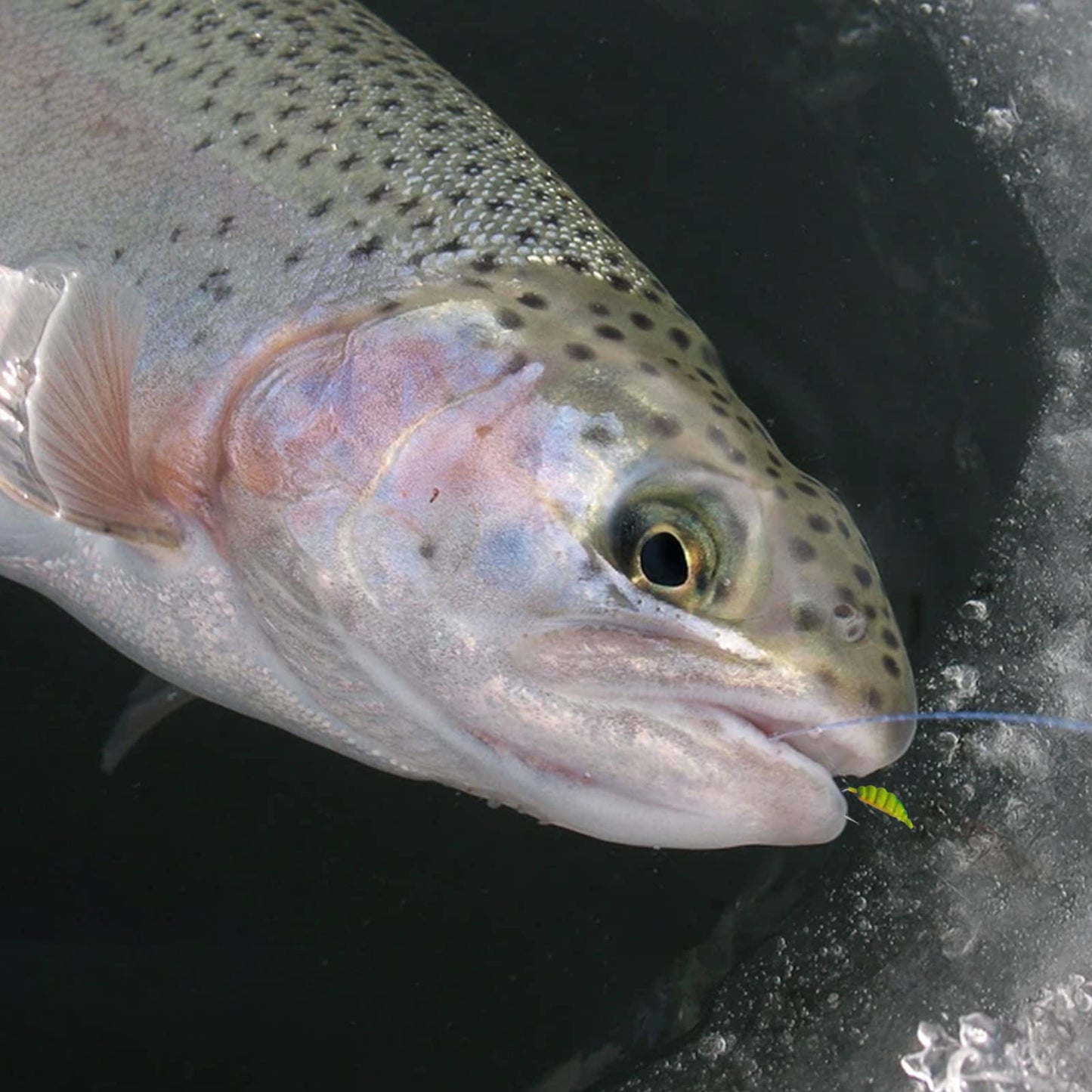 15 Pcs Ice Fishing Jigs for Panfish Walleye Sunfish Winter Ice Jigging Tackle Accessories Box Colorful Lead Jig Heads Glow Jigs for Ice Fishing (E:15PCS Ice Fishing Jigs)