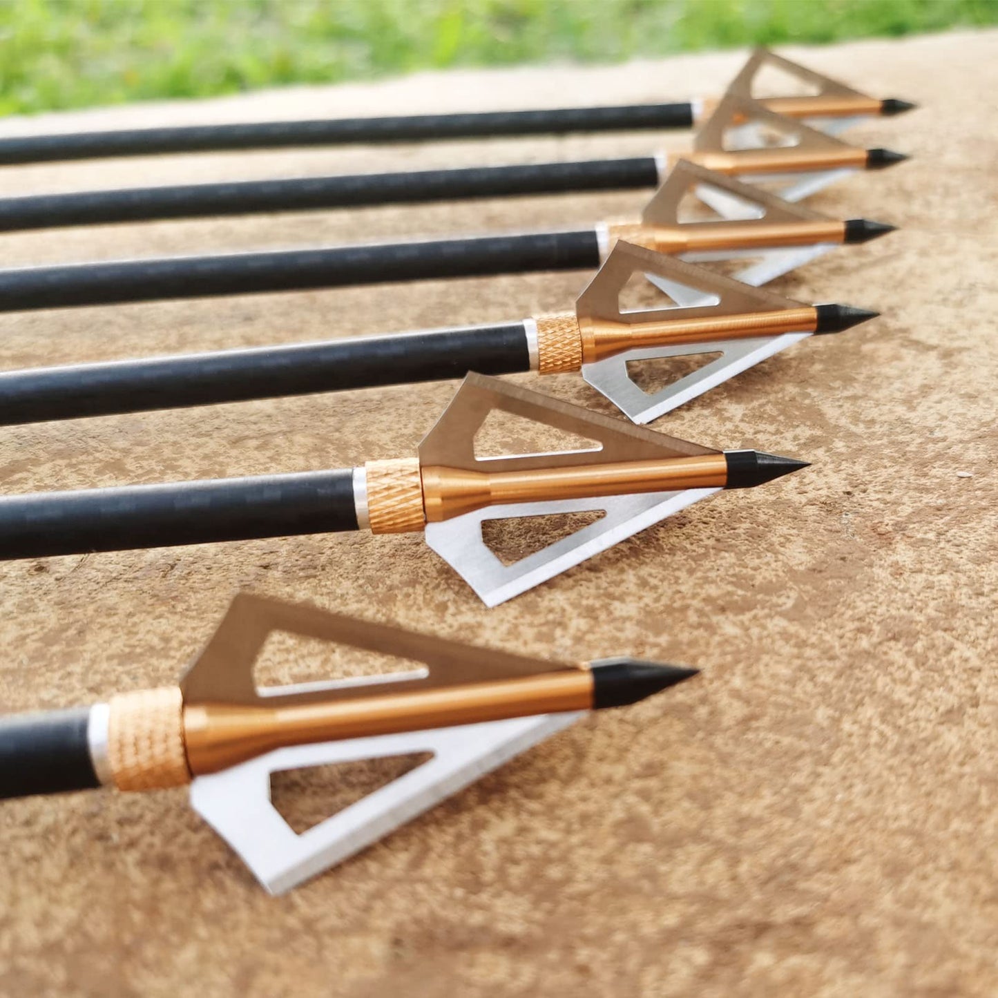LeeMui Hunting Broadheads 12PK 100 Grains Screw-in Arrow Archery 3 Blades Hunting Heads Arrow Tips Compatible with Crossbow and Compound Bow + 1 PK Broadhead Storage Case (Gold)