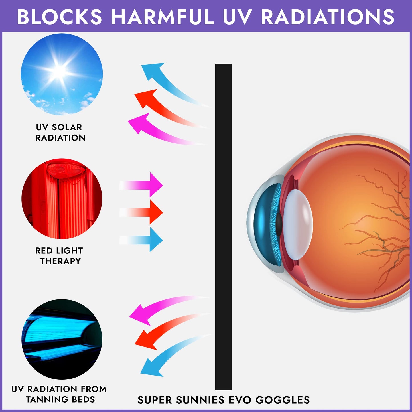 EVO FLEX Sunnies Flexible Tanning Bed Goggles UV Eye Protection Glasses 4 Pack (Purple), FDA Compliant