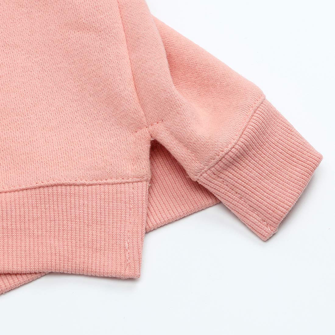 ZFTTZYMX Baby Unisex Cotton Solid Hoodies, Toddler Sweatshirt Kids Cute Ear Hoody Tops Pullover Fall Winter Clothes