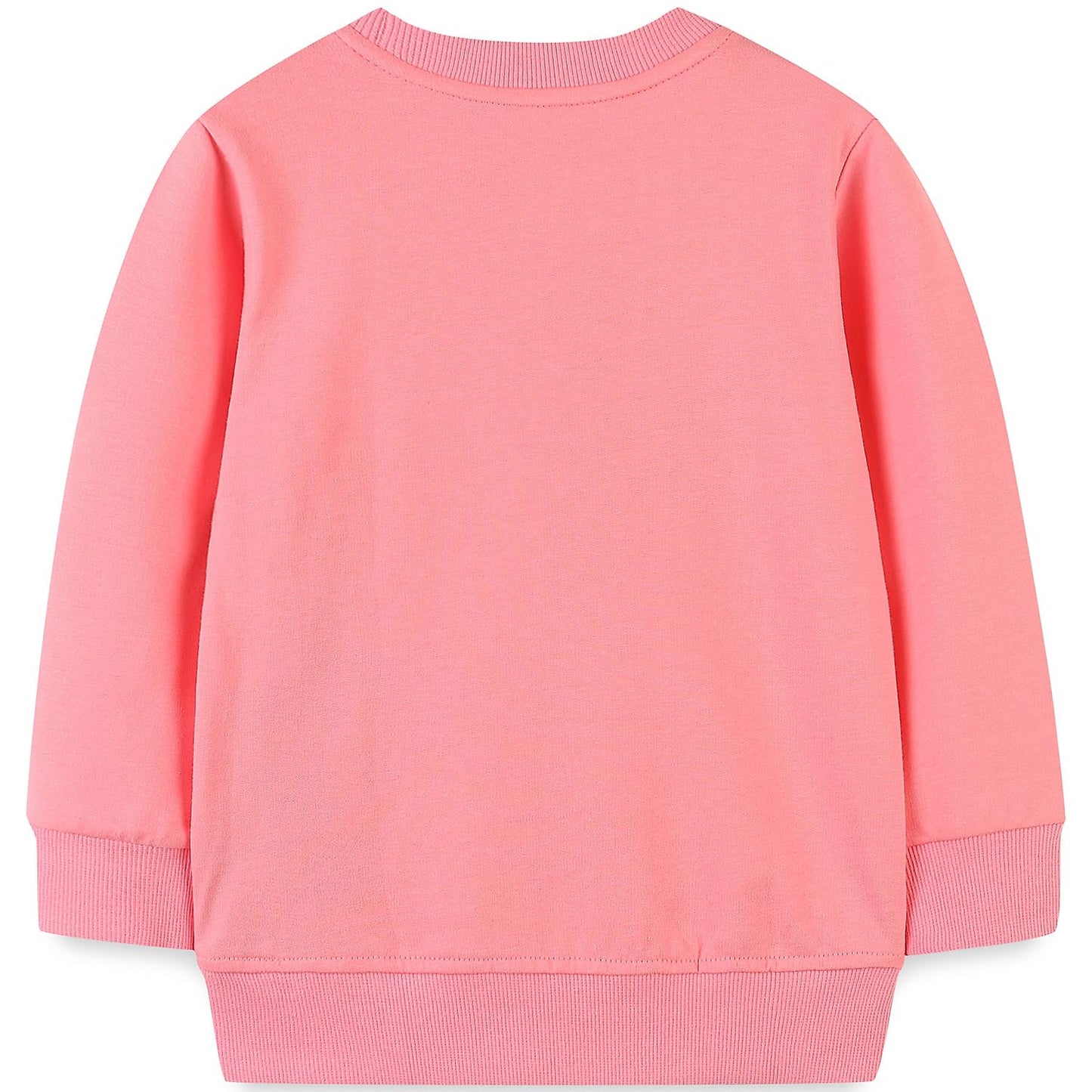 Bumeex Baby Kids Toddler Girl Clothes Sweater Sweatshirt Fall Winter Crewneck Long Sleeve Pullover Shirt Top Hoodie Clothing Outfit Pink Mermaid 2t