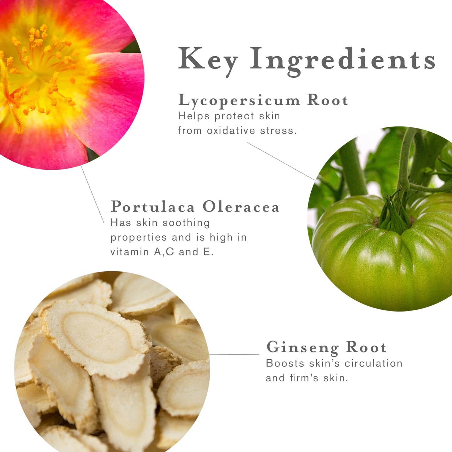 DERMAdoctor Antiperspirant Wipes, Dermatologist Formulated Hyperhidrosis Treatment for Body, Hands and Feet Anti Sweat Wipes, Hypoallergenic Deodorant, Individually Wrapped - 10 Count