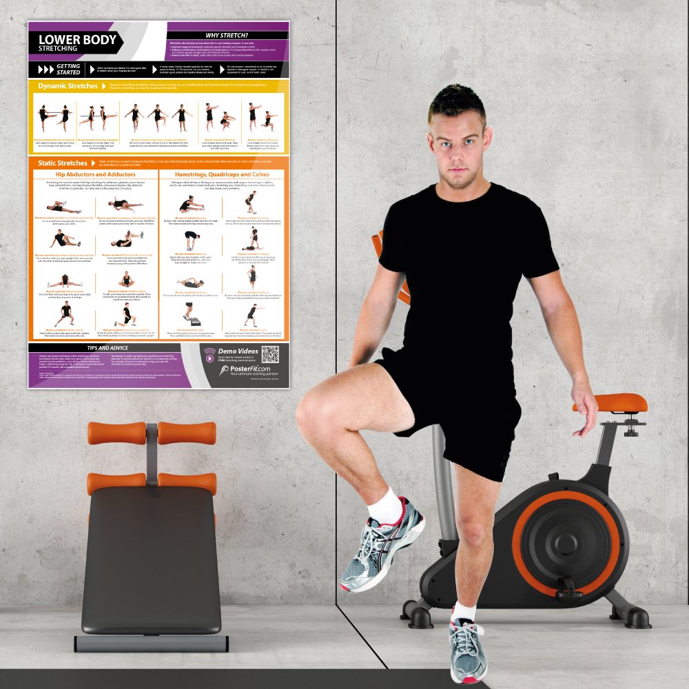 Lower Body Dynamic & Static Stretching Poster - EXTRA LARGE - 33” x 23.5” - Laminated - Home & Gym Workout Poster - Includes Online Video Training Support - Gym Charts by Posterfit.