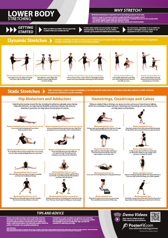 Lower Body Dynamic & Static Stretching Poster - EXTRA LARGE - 33” x 23.5” - Laminated - Home & Gym Workout Poster - Includes Online Video Training Support - Gym Charts by Posterfit.