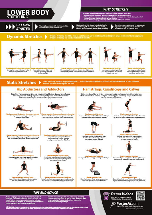 Lower Body Dynamic & Static Stretching Poster - EXTRA LARGE - 33” x 23.5” - Laminated - Home & Gym Workout Poster - Includes Online Video Training Support - Gym Charts by Posterfit.