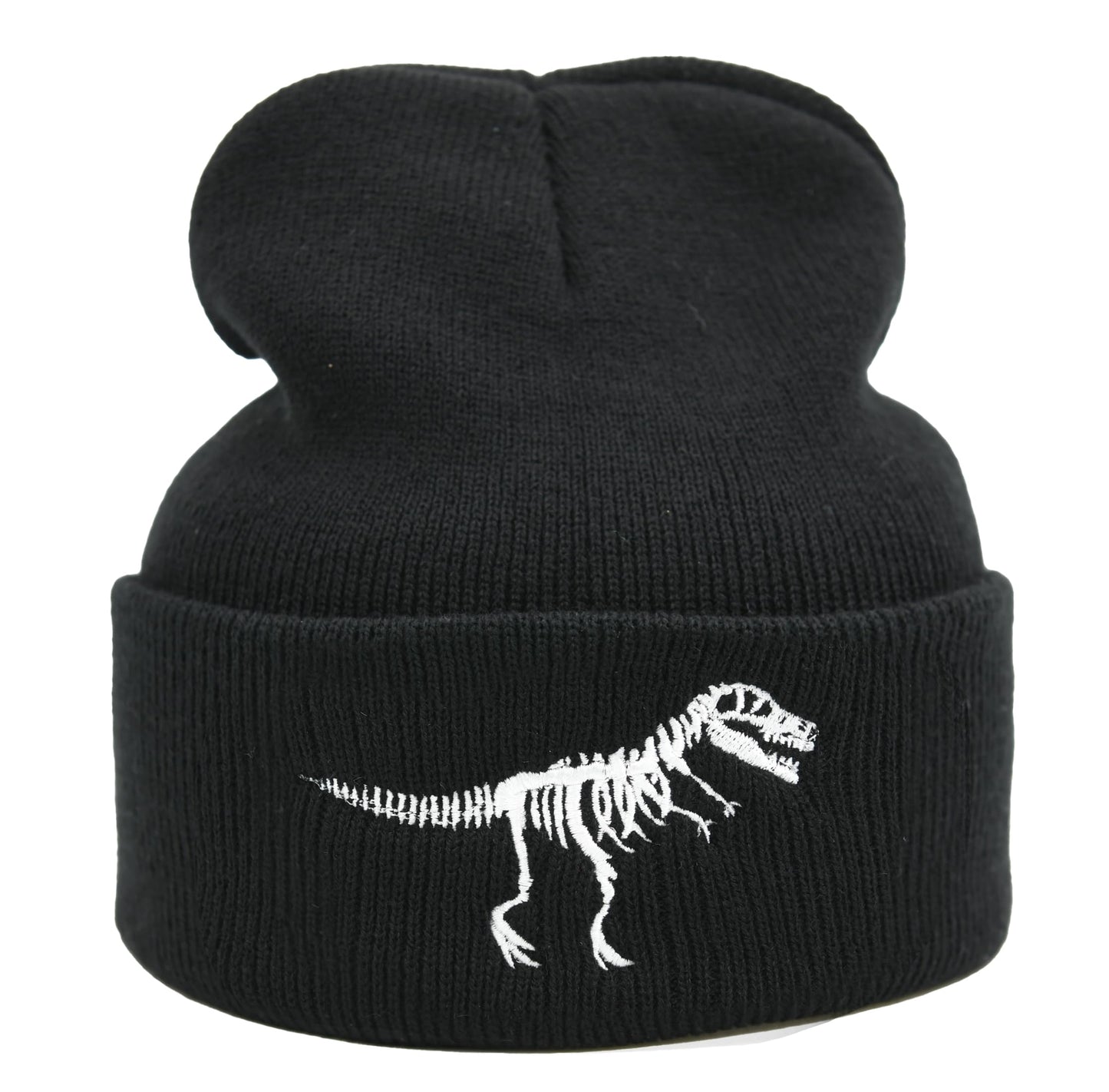 LOKIDVE Men Women Dinosaur Retired 2022 Winter Embroidered Cuff Beanie Hat Knit Skull Cap