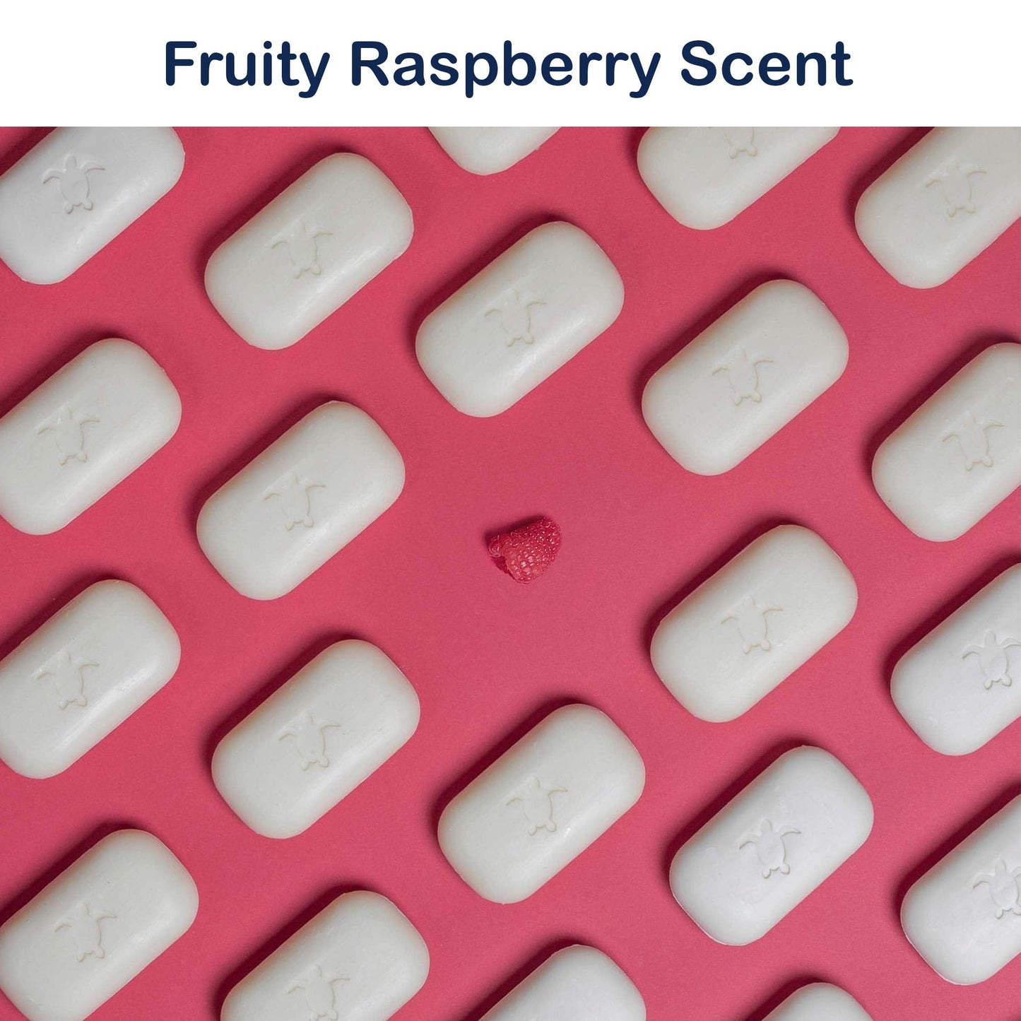 Pacific Spirit Bar Shampoo for normal hair with Coconut Oil & Raspberry, Rich foam, Sulfate-Free, Soap-Free, Zero Waste, Vegan, Eco-Friendly, 3.53 Oz